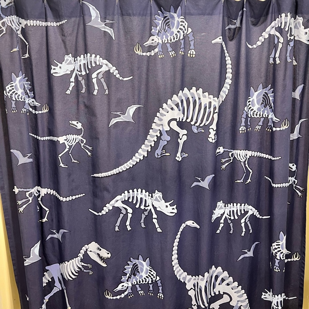 Potterybarn kids dinosaur shower curtain